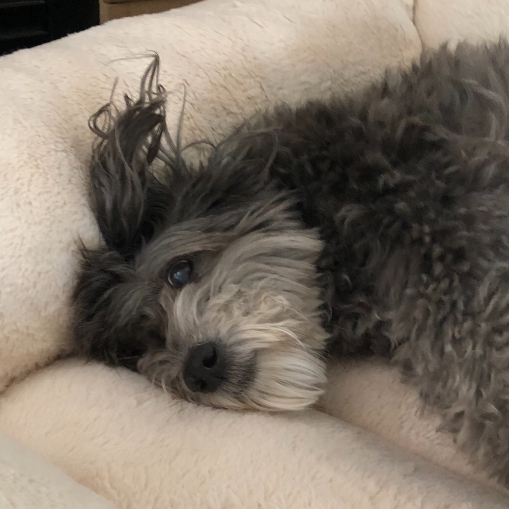 Meet your Posher, Andrea